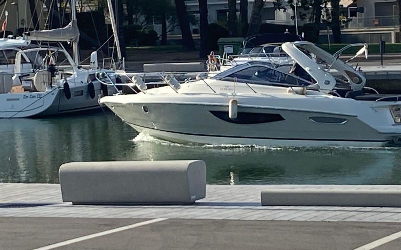 PHOTO-2026-02-20-13-28-33 (1)